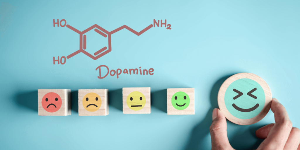 Dopamine Reset