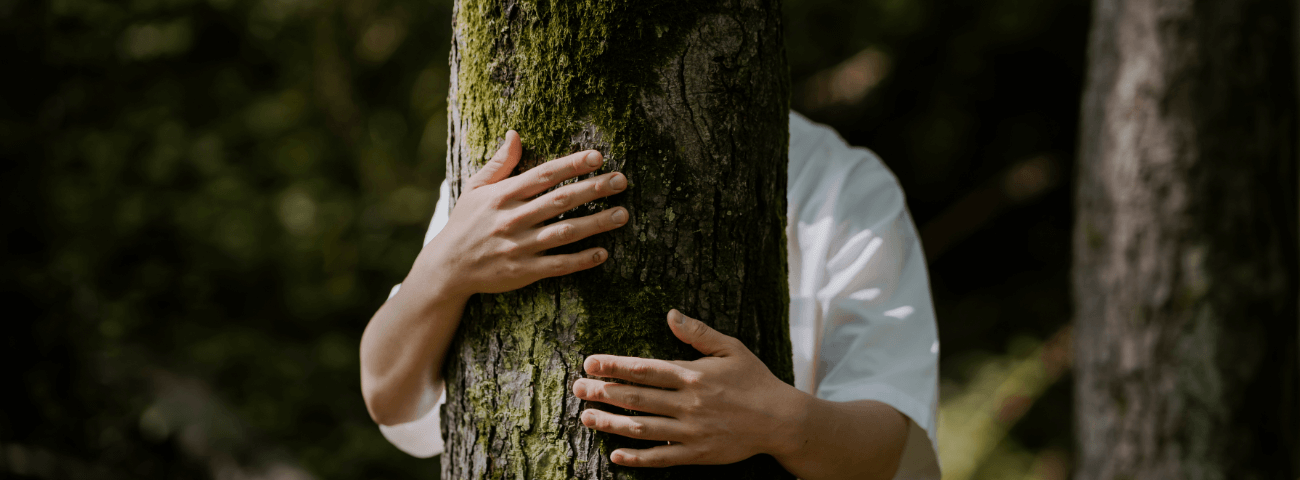 Science-Backed Benefits of Forest Bathing for a Healthier Mind and Body