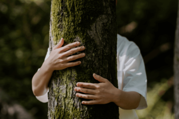 Science-Backed Benefits of Forest Bathing for a Healthier Mind and Body